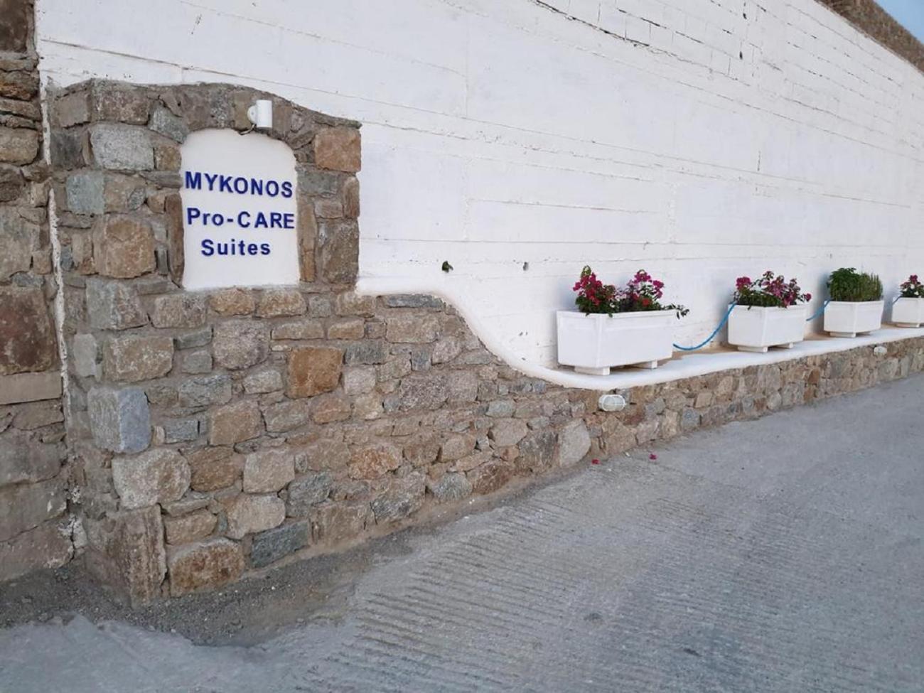 Mykonos Pro-Care Suites Ano Mera Esterno foto