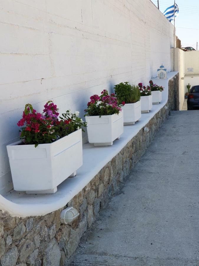 Mykonos Pro-Care Suites Ano Mera Esterno foto